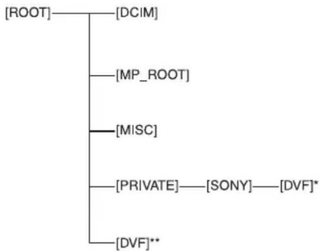 SONY NEX-EA50K - DVモーダフロールダ一構成 - 1