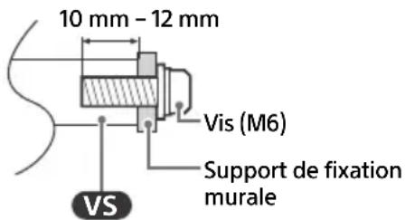 10 mm - 12 mm Vis (M6) Support de fixation murale VS