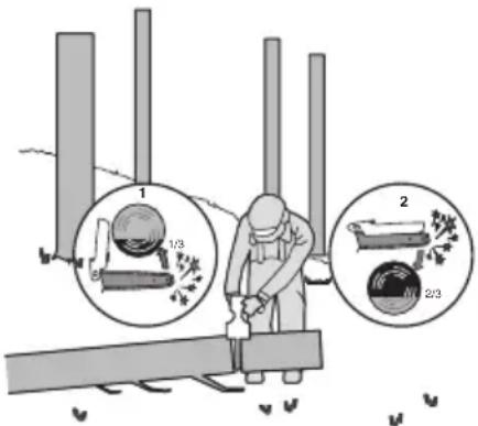 WORX WG325E.9 - Debitarea trunchiului de copac - 2