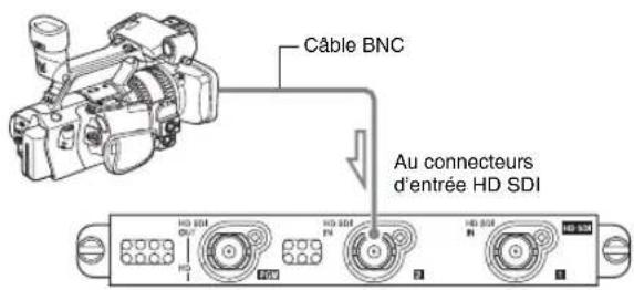 Câble BNC Au connecteurs d'entrée HD SDI