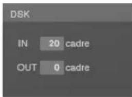 DSK IN 20 cadre OUT 0 cadre