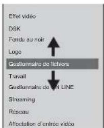 Effet vidéo DSK Fonds au noir Logo Gestionnaire de fichiers Travail Gestionnaire de LAIN LINE Streaming Résseau Affectation d'entrée vidéo