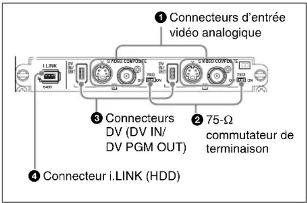 Connecteurs d'entrée vidéo analogique 3 Connecteurs DV (DV IN/ DV PGM OUT) 2 75-Ω commutateur de terminaison 4 Connecteur i.LINK (HDD)
