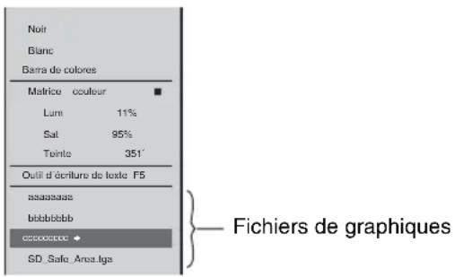 Noir Blanc Barra de colores Matrice couleur Lum 11% Sat 95% Tainte 351' Outil d'écriture de texte F5 asassaaa bibbbbbb cctcccccc SD_Safe_Area.iga Fichiers de graphiques