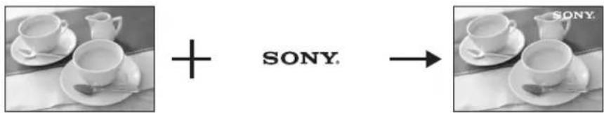 SONY.