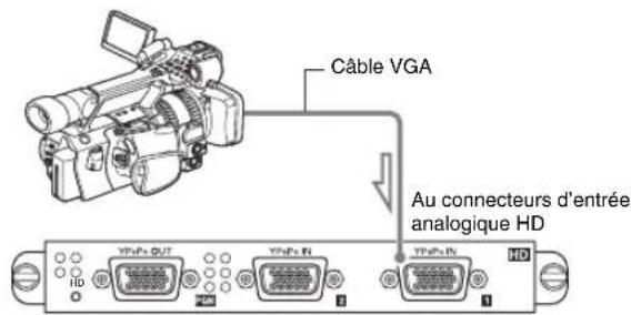Câble VGA Au connecteurs d'entrée analogique HD