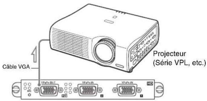 Câble VGA Projecteur (Série VPL, etc.)