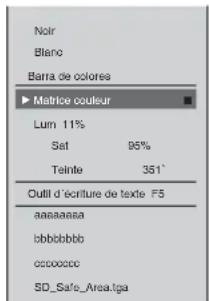 Noir Blanc Barra de colores ► Matrice couleur Lum 11% Set 95% Teinte 351° Outil d'écriture de texte F5 aaaaaaa bbbbbb ccccccc SD_Safe_Area.tga