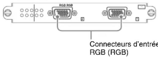 RGB RGB Connecteurs d'entrée RGB (RGB)