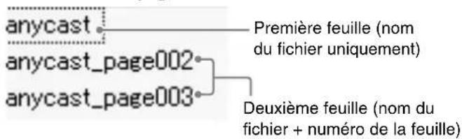 anycast anycast_page002 anycast_page003 Première feuille (nom du fichier uniquement) Deuxième feuille (nom du fichier + numéro de la feuille)