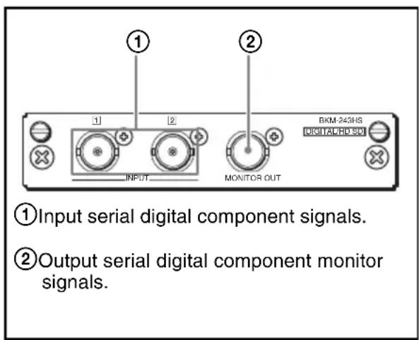 SONY BKM-243HS - Configuration of Input/Output Connectors and Signals that may be Input - 1