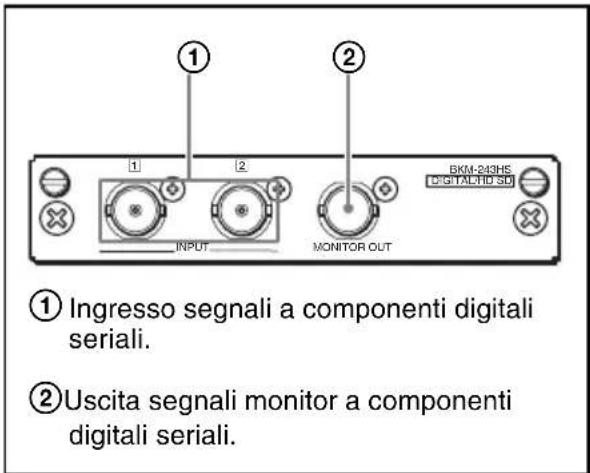 ① Ingresso segnali a componenti digitali seriali. ② Uscita segnali monitor a componenti digitali seriali.