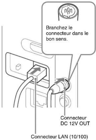 Branchez le connecteur dans le bon sens. Connecteur DC 12V OUT Connecteur LAN (10/100)