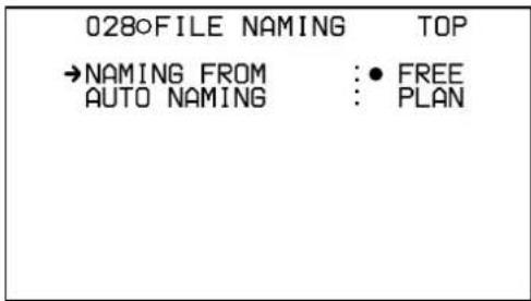 028oFILE NAMING TOP →NAMING FROM : • FREE AUTO NAMING : PLAN