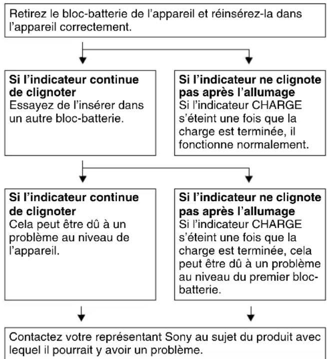 SONY BC-DWX1 - Clignotement rapide - 1