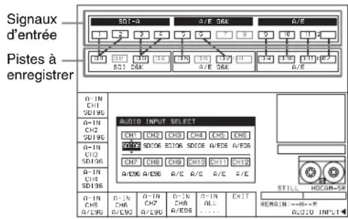 SONY HKSR-5803HQ - Exemples d'affichage du type des signaux d'entrée - 1