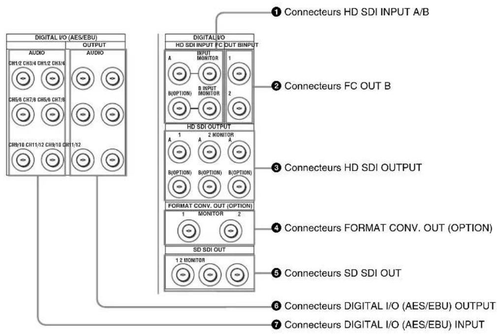 SONY HKSR-5001 - Connecteur CUE IN (entrée de repérage) (XRL 3-31, femelle) (SRW-5500 seulement) - 2