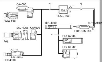 SONY HKCU-SM100 - Remarques - 2