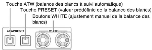 SONY HXCU-D70 - Indicateur NETWORK - 1