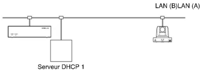 SONY PCS-MCS1 - Connexion LAN à l'aide de DHCP (LAN1/LAN2) - 1