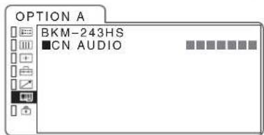 OPTION A BKM-243HS ■CN AUDIO