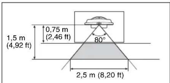1,5 m (4,92 ft) 0,75 m (2,46 ft) 80° 2,5 m (8,20 ft)