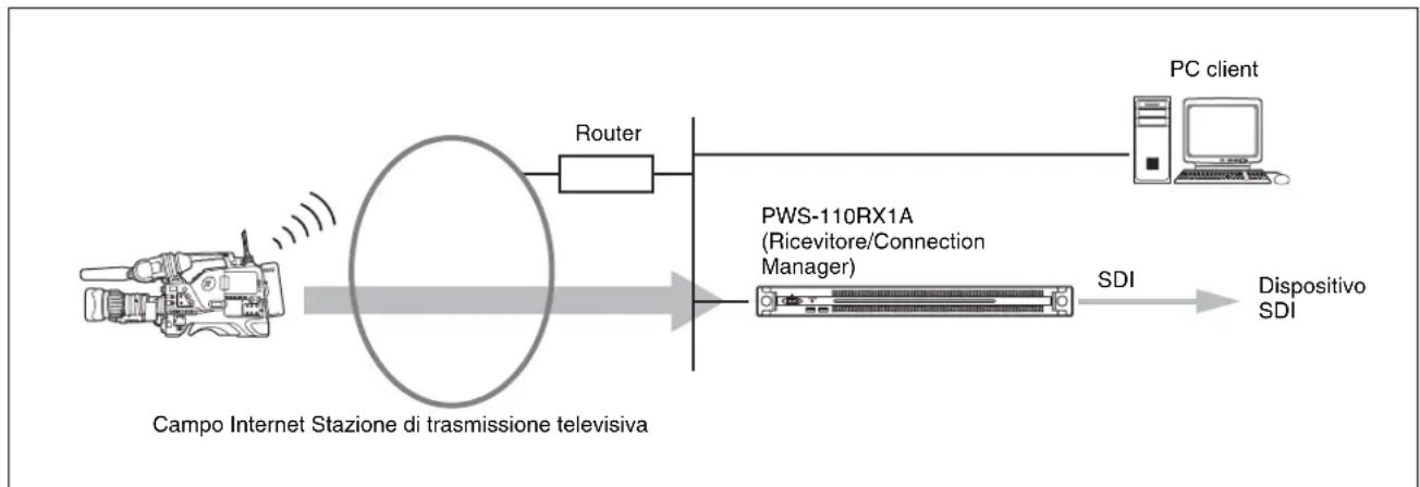 SONY PWS-110RX1A - Esempi di configurazioni di sistema - 1