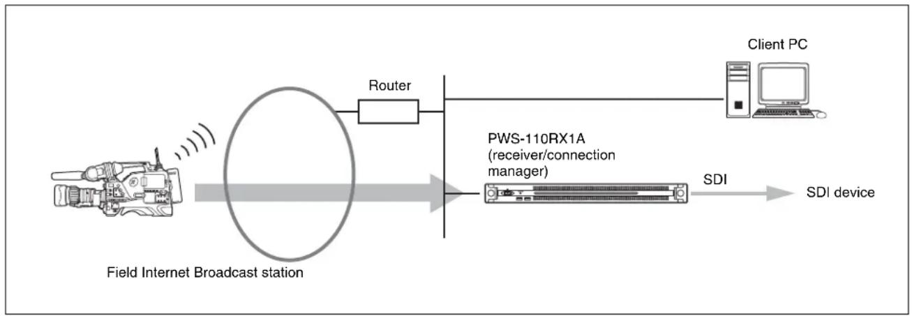 SONY PWS-110RX1A - System Configuration Examples - 1