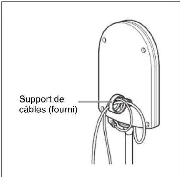 Support de câbles (fourni)