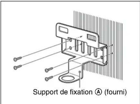 Support de fixation Ⓐ (fourni)