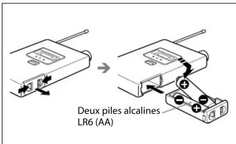 Deux piles alcalines LR6 (AA)