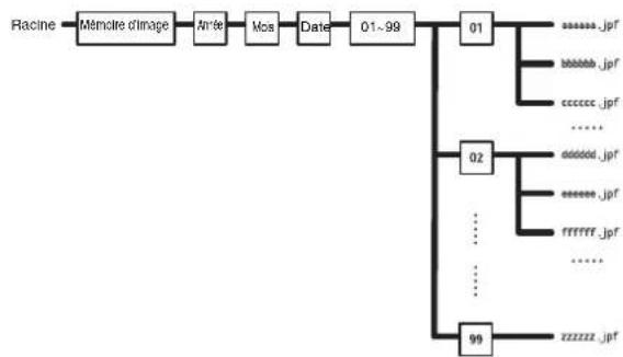 SONY SNT-EX104 - Structure de dossier de la mémoire d'image - 1