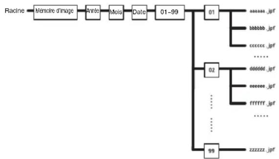 SONY SNC-ZP550 - Structure de dossier de la Mémoire d'image - 1