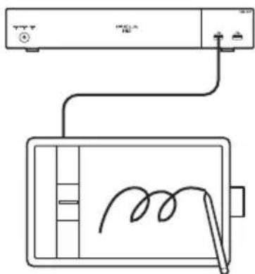 Ecran du moniteur