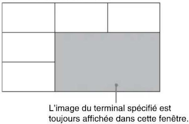 L'image du terminal spécifié est toujours affichée dans cette fenêtre.