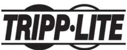 Tripp Lite SRN3RG6UDP - Garantie limitée de 5 ans - 1