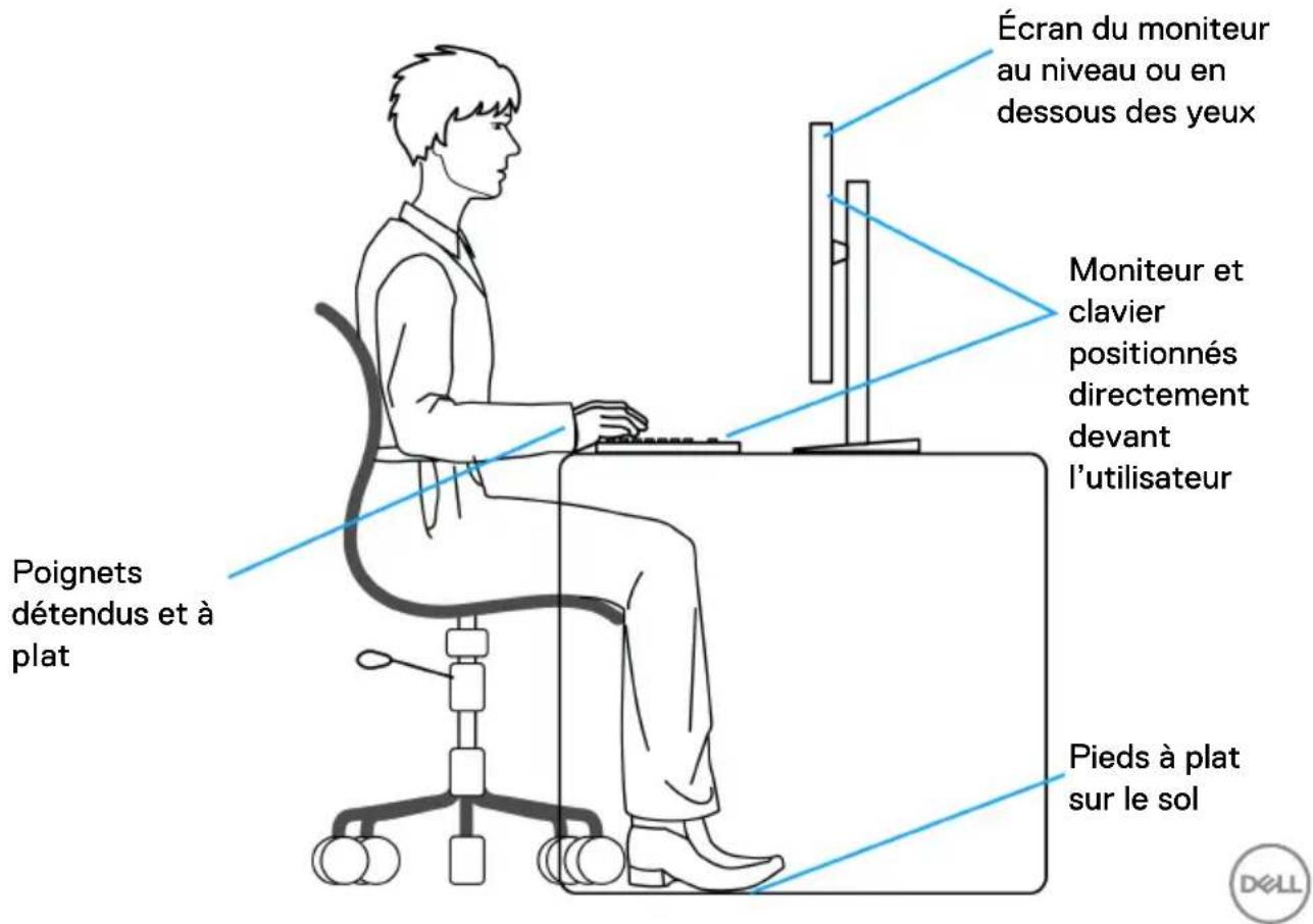DELL P2425E - Ergonomie - 1