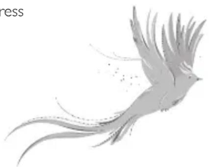 BABYLISS 9003U - RETURN ADDRESS: - 1