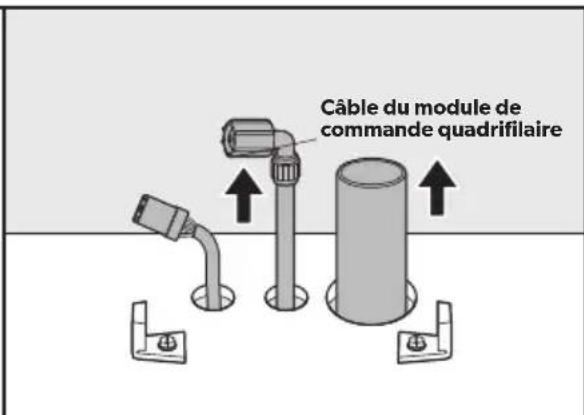 Câble du module de commande quadrifilaire