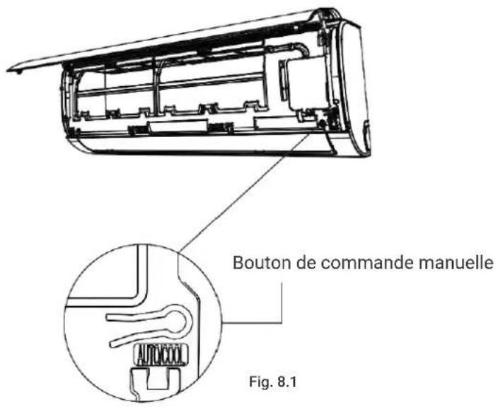 Bouton de commande manuelle Fig. 8.1
