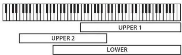 UPPER 1 UPPER 2 LOWER