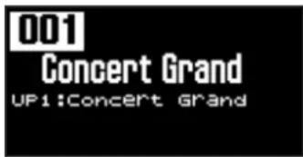 001 Concert Grand UP1:Concert grand