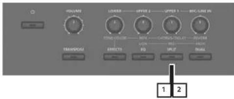 VOLUME LOWER OFFICE UPP BIC/LINE IN STRAWING EFFECTS RIO SHIFT SMALL 1 2
