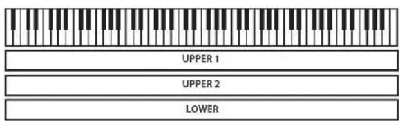 UPPER 1 UPPER 2 LOWER