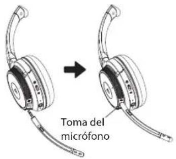 V7 HB605M - Cómo colocárselos - 1
