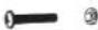 LIVOO DOC301 - 11