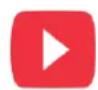 LIVOO DOC301 - Livoo, your daily companion till social networks - 1