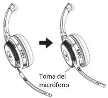 V7 HB600S - Cómo colocárselos - 1