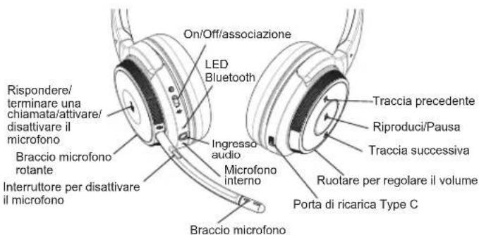 V7 HB600S - Panoramica - 1
