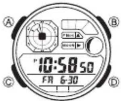 CASIO AE-1200 - À propos de ce manuel - 1